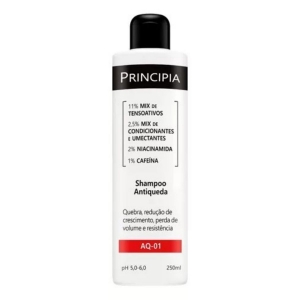 Principia Shampoo Antiqueda Ph 5,0-6,0 Skincare AQ 01 250ml