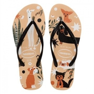 Sandália Havaianas Slim Pets Dourado/Preto 35/36