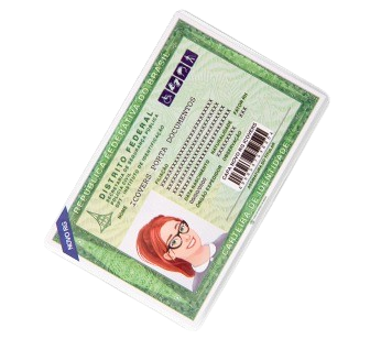 Porta Documentos RG Novo Icovers