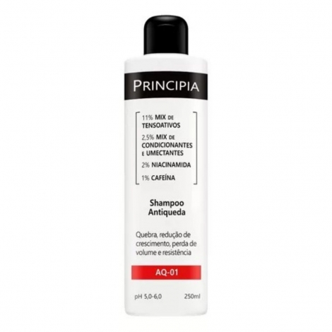 Principia Shampoo Antiqueda Ph 5,0-6,0 Skincare AQ 01 250ml