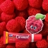 Hidratante Labial Carmed Fini Amoras Claro 10g