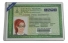 Proteção e Organização Essencial – Porta Documentos RG Compacto