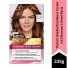 Tintura Imédia Excellence Creme 6.41 Marrom L\'Oréal Paris