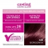 Tinta de Cabelo Casting Creme Gloss 426 Borgonha L\'Oréal
