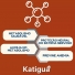 VITAMINA B12 C/60 CáPSULAS - KATIGUA