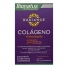 Suplemento Radiance Colágeno Hidrolisado com 60 Comprimidos Sabor:Sem Sabor