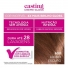 Tinta de Cabelo Casting Creme Gloss 600 Louro Escuro L\'Oréal